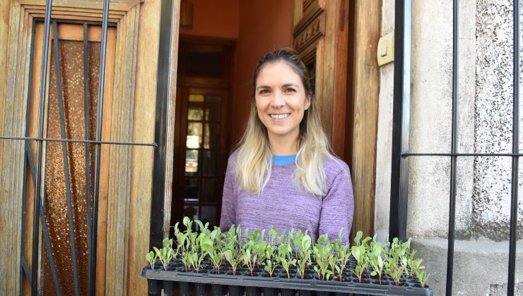 Sol Puntano comenzó con la entrega de las 500 bandejas hortícolas pedidas en mayo