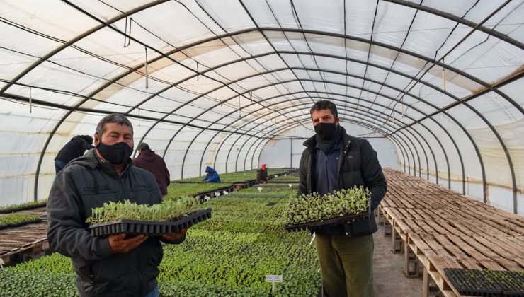 Sol Puntano comenzó con la entrega de bandejas hortícolas a municipios y productores