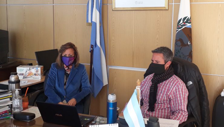 Reunión por videoconferencia para avanzar en los protocolos de la vuelta a clases presenciales