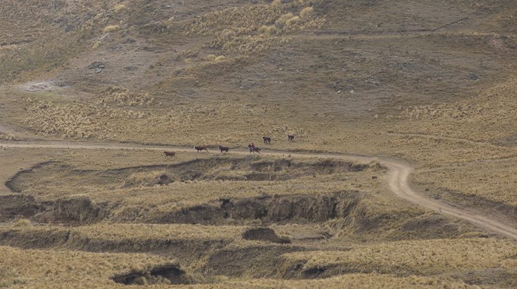 La semana comienza con abundante nubosidad y temperaturas invernales