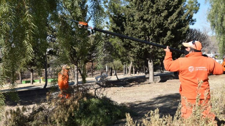 Operativos de desmalezado y limpieza en las rutas y autopistas de la provincia