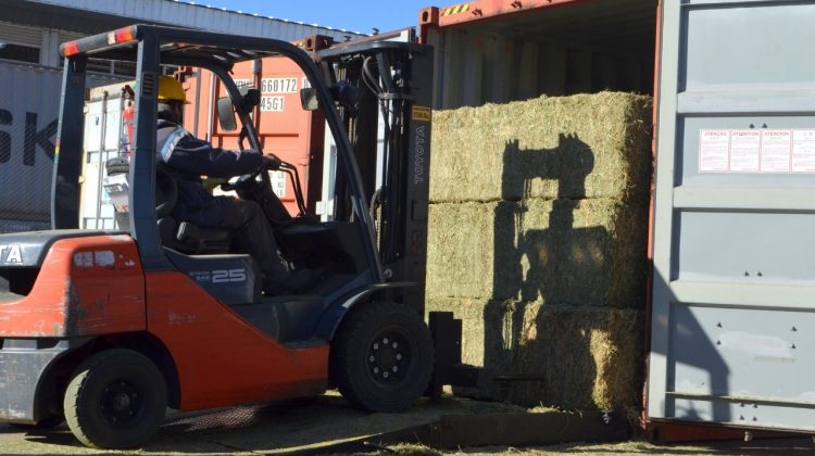 Salió de San Luis la primera exportación de alfalfa de alta calidad rumbo a Emiratos Árabes