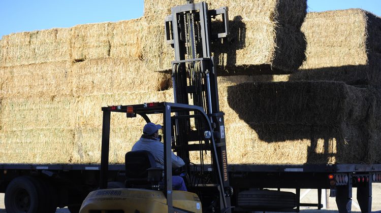 La máquina compactadora de alfalfa permite ahorrar hasta un 30% en el costo del flete