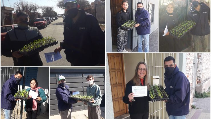 Sol Puntano comenzó a entregar las bandejas hortícolas de julio