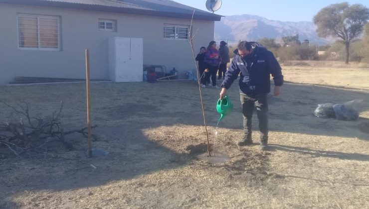 Entregaron árboles frutales, plantas aromáticas y semillas de hortalizas a los dueños de las nuevas viviendas