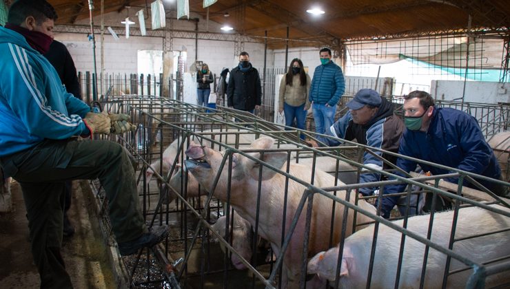 Se realizaron acciones de sanidad animal en dos escuelas agrotécnicas del interior provincial