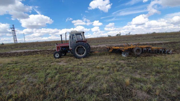 El Gobierno provincial plantó 600 hectáreas de alfalfa en banquinas de autopistas