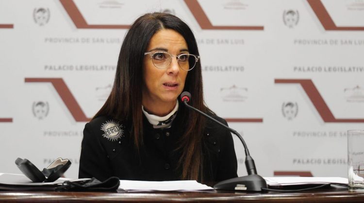 La jefa de Gabinete, Natalia Zabala Chacur, brinda el informe de gestión en la Cámara de Senadores