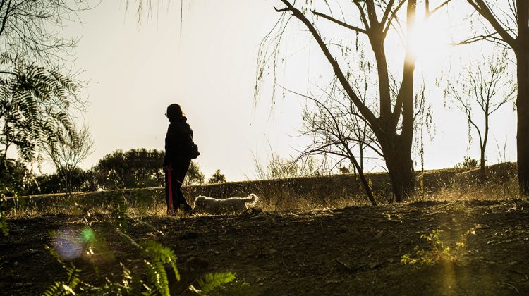 El miércoles estará despejado y con temperatura en ascenso