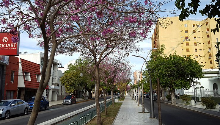 El viento se hace sentir en el inicio de la semana