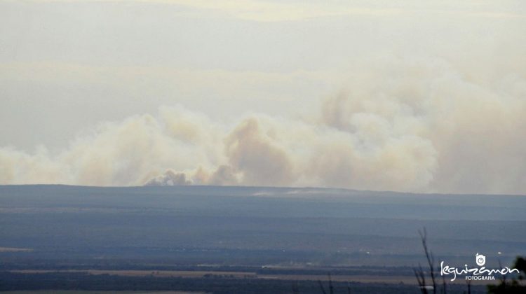 Bomberos y brigadistas combaten un incendio en el norte provincial