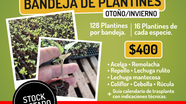 En julio Sol Puntano vendió 500 bandejas hortícolas