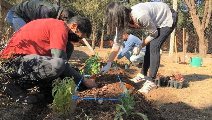 Dos instituciones se suman a la producción agroecológica de alimentos