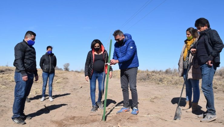 El Plan Forestal ya plantó 2.000 árboles en suelo puntano