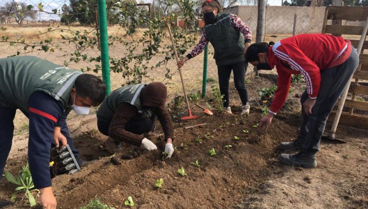 Comedores sociales continúan mejorando sus huertas agroecológicas