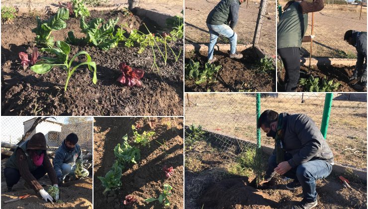 Dos comedores sociales mejoraron sus huertas agroecológicas