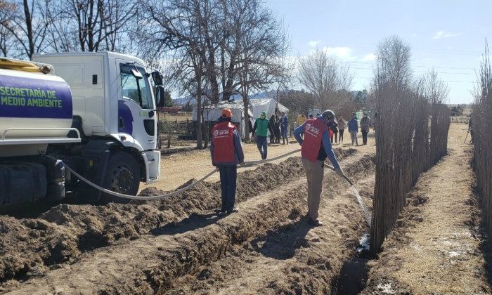 El Gobierno pone en marcha el Plan Forestal “Más árboles, más vida”