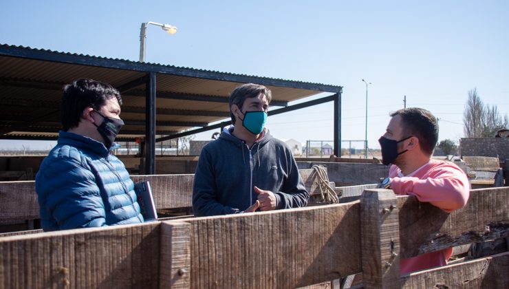 Lavandeira recorrió el módulo genético de Sol Puntano