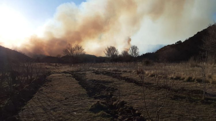 Incendios: se registra un nuevo foco ígneo en Estancia Grande