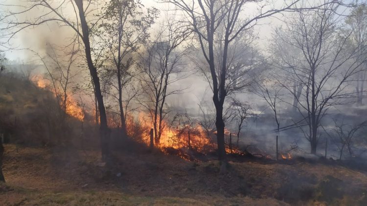 Combaten tres incendios de manera simultánea