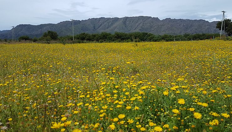 La semana comenzará con buenas condiciones climáticas