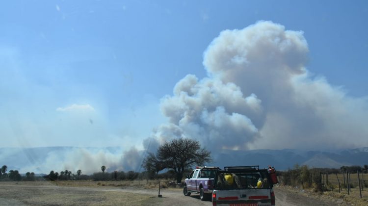 El fuego en Villa del Carmen arrasa con el bosque nativo