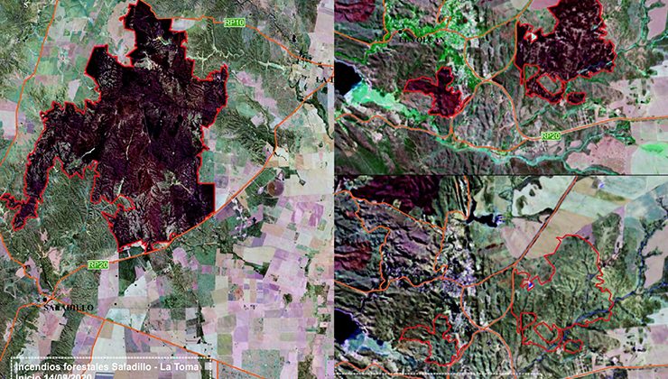 En los últimos incendios, el fuego arrasó cerca de 14.000 hectáreas