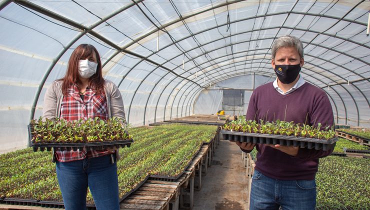 Un nuevo municipio adquirió mix de bandejas hortícolas de Sol Puntano