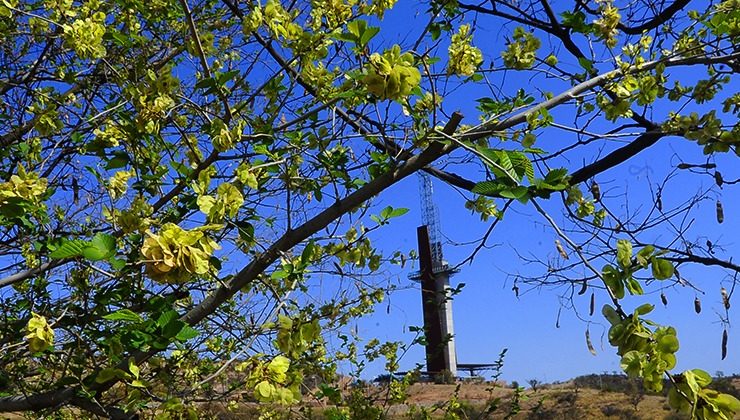 La semana sigue con temperaturas muy agradables