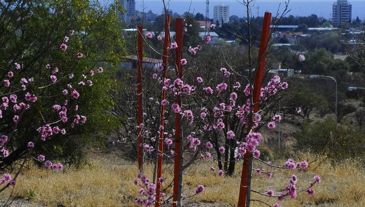 Este miércoles y jueves tendrán máximas cálidas