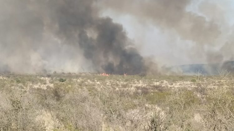 Bomberos y brigadistas combaten un incendio en Donovan