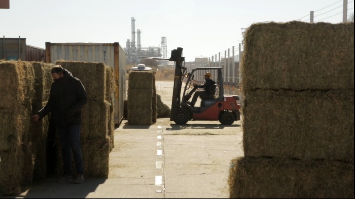 Llegó a Qatar la primera carga de alfalfa enviada por el Gobierno de San Luis