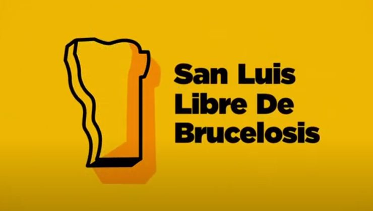 El Gobierno provincial lanzó el Plan de Brucelosis Bovina San Luis