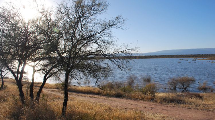 El viernes estará soleado y ventoso, pero el sábado y domingo desmejora