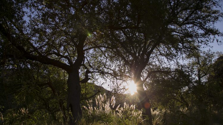 La semana termina con temperaturas en ascenso y menos vientos