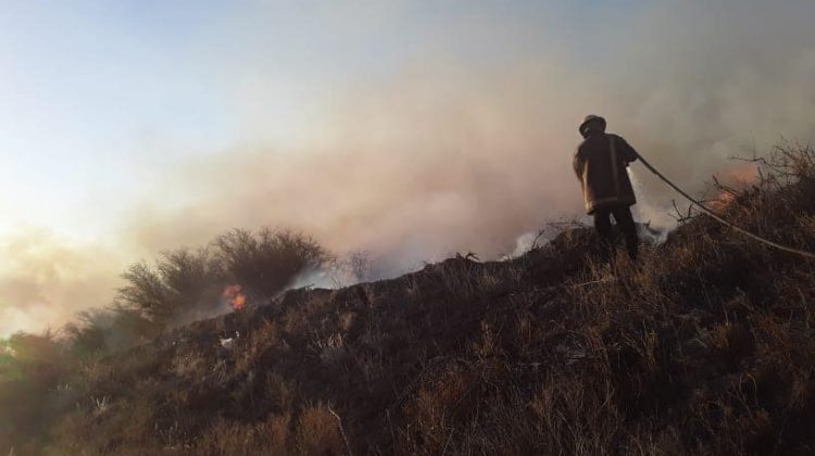 Controlaron el incendio que afectó uno de los ingresos a La Punta