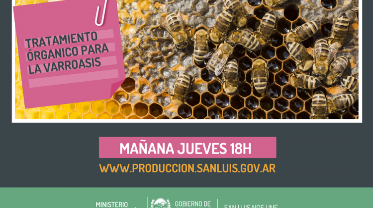 Este jueves llega un nuevo capítulo del curso virtual de producción agropecuaria