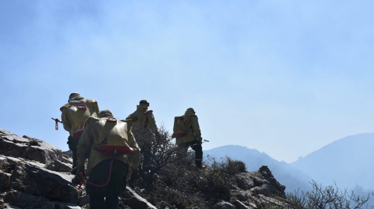 Lucha contra el fuego: combaten cinco incendios en simultáneo