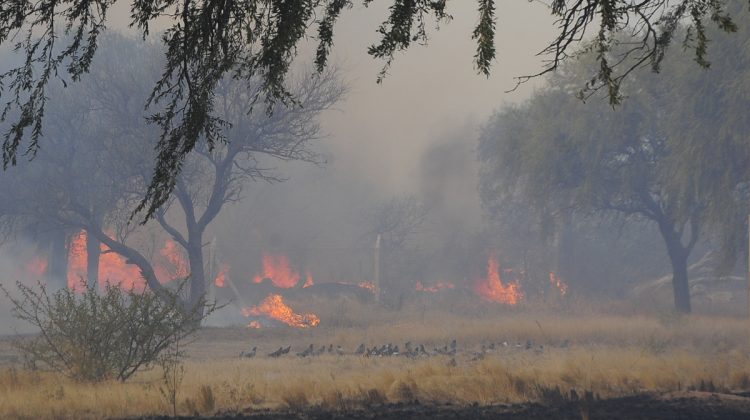 Varios focos ígneos continúan activos en la provincia  