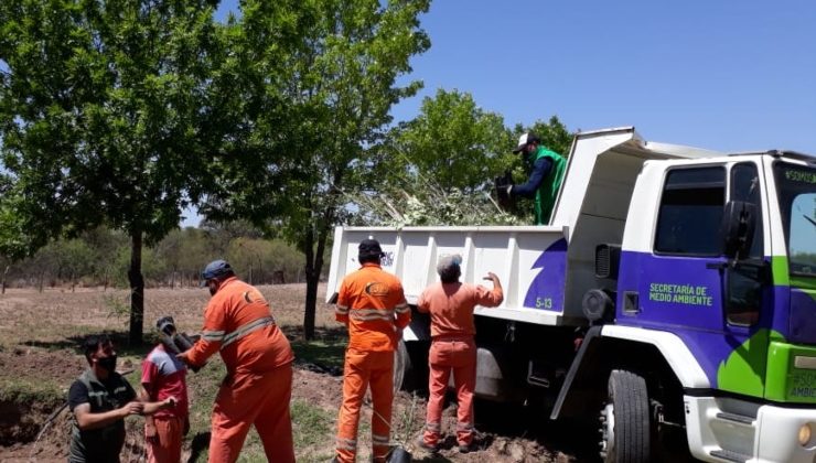 “Más árboles, más vida” llega a Zanjitas y al paraje Cazador