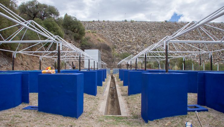 San Luis Agua trabaja en la puesta en valor de la estación de piscicultura de Río Grande