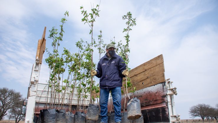 El Plan de Activación Productiva Frutihortícola ya está en marcha