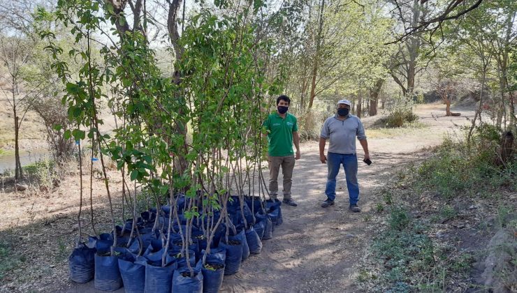 El Plan de Activación Productiva Frutihortícola ya entregó más de 1.000 frutales a productores de San Luis