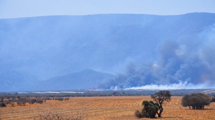 Panorama general de los incendios en la provincia