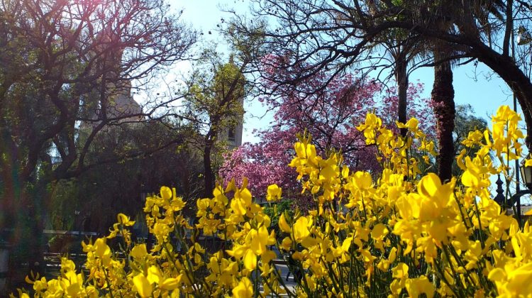 Se viene una semana con temperaturas elevadas