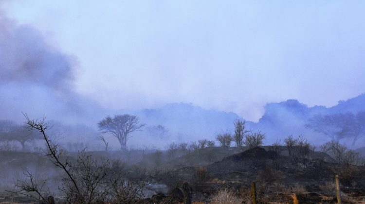 Redujeron la magnitud del incendio en Los Puquios