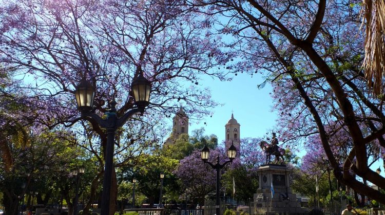 La semana inicia despejada y con ascenso de temperaturas