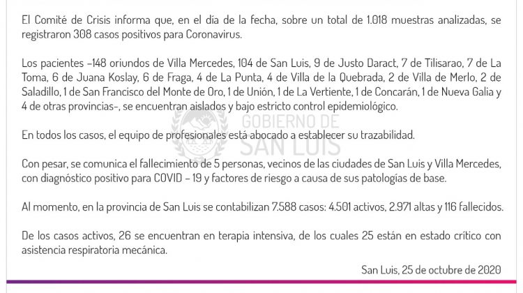 Coronavirus: este domingo se registraron 308 casos positivos