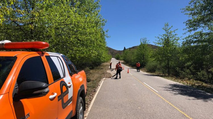 Luego de las fuertes lluvias, los equipos viales despejan las rutas de piedras y restos de árboles