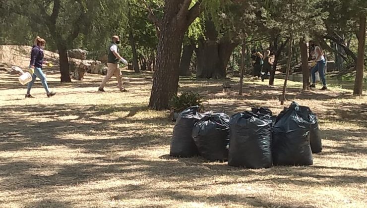 Conciencia ambiental, limpieza y forestación en el río San Luis